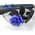A Blue Rose in Gift Box