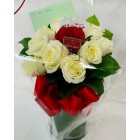 A rose from the little prince ~ 1 Red Rose in White