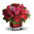 Madly Sweet Rose and Lily