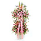 Stand Spray Roses