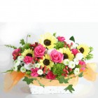 Happy Smile Sunflowers 