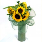 Sunflower Smile Again